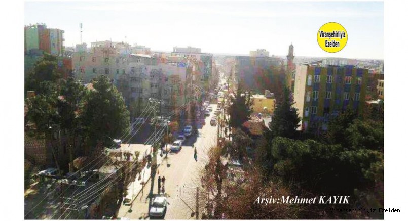 Viranşehir Ceylanpınar Caddesi Eski Adliye Cıvarı 