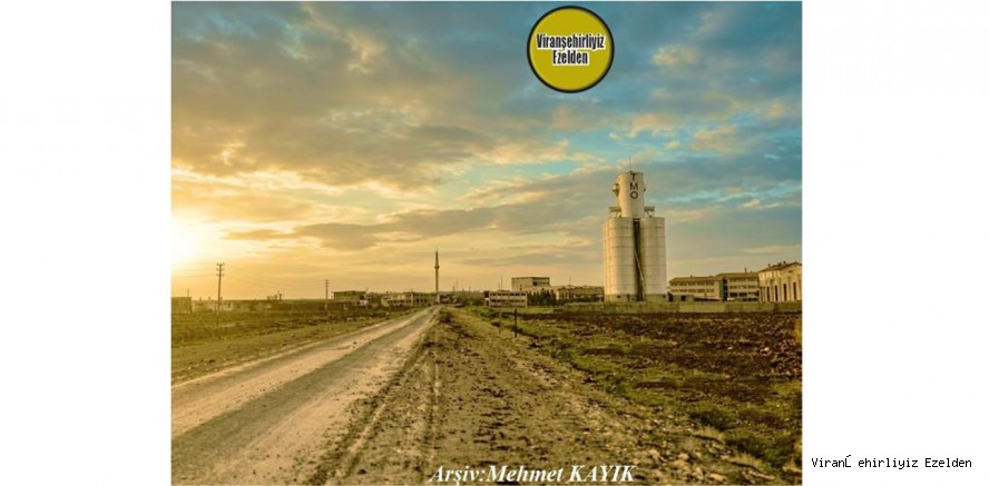 Viranşehir Ceylanpınar Karayolu Ofis Bölgesi