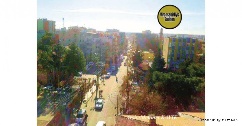Viranşehir Ceylapınar Caddesi 