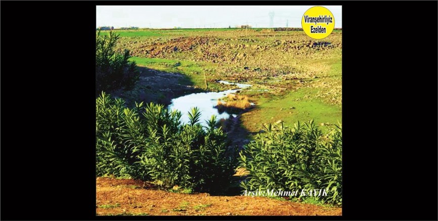 Viranşehir Curcup Bölgesi 