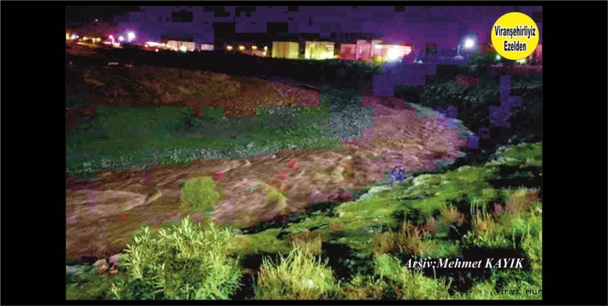 Viranşehir Curcup Bölgesinde Gece
