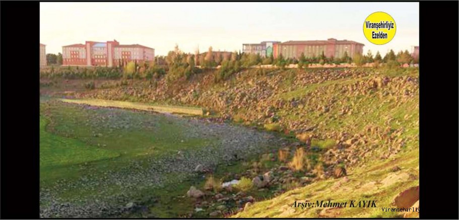 Viranşehir Curcup Çevresi