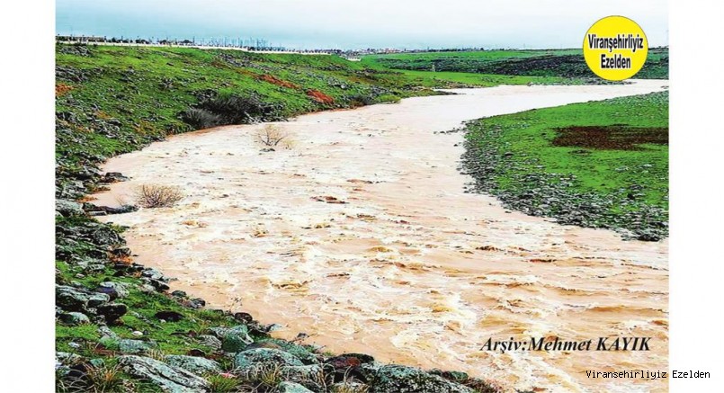 Viranşehir Curcup Deresi Bahar Aylarında Gürleşmiş yine 