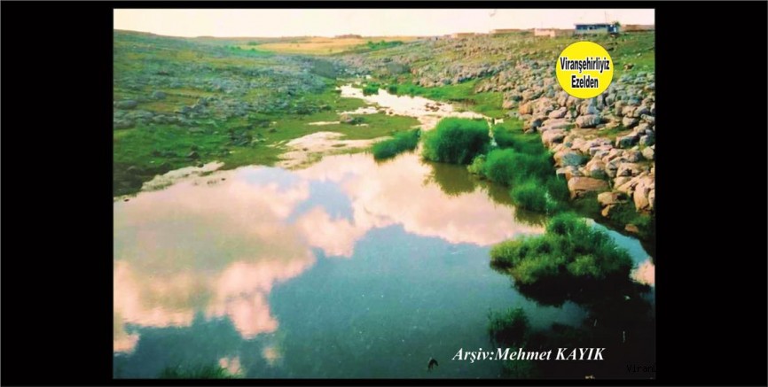 Viranşehir Curcup Deresi