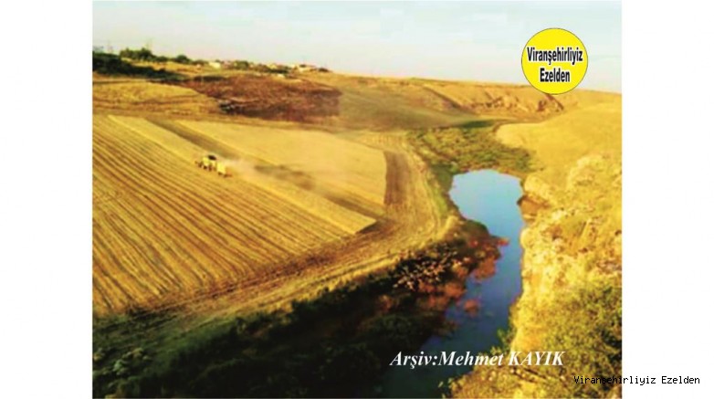 Viranşehir Curcup Deresinin Değişik Yeri