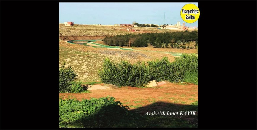 Viranşehir Curcup