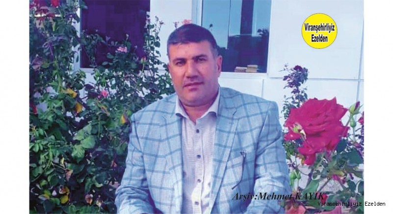 Viranşehir’de Belediye Meclis ve İl Genel Meclisi üyeliği yapmış, Hadi Diken