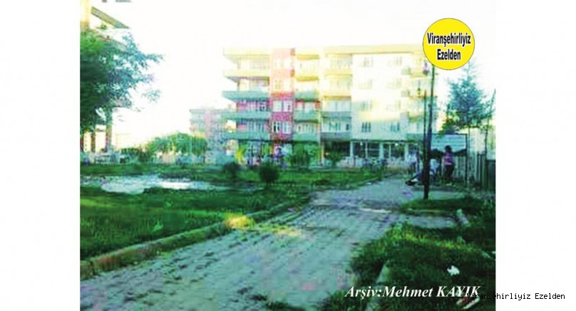 Viranşehir’de Bir Park