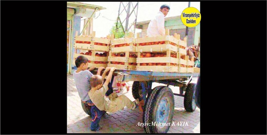 Viranşehir'de Eski Dönemlerde At Arabası 