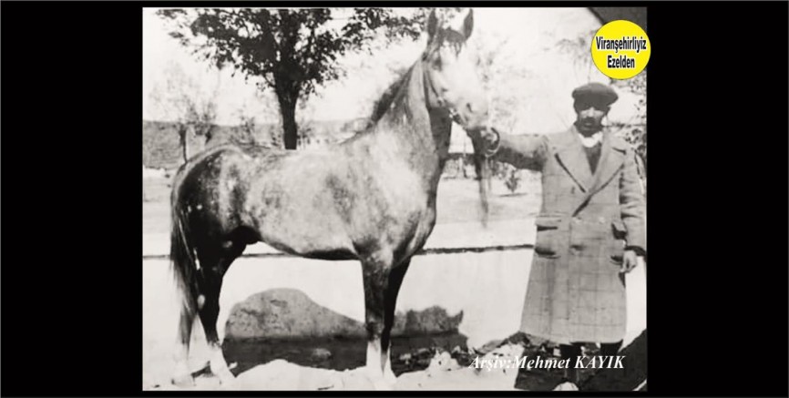 Viranşehir’de Halil Cevi olarak Tanınan Kanaat Önderi Merhum Hacı Halil Erol