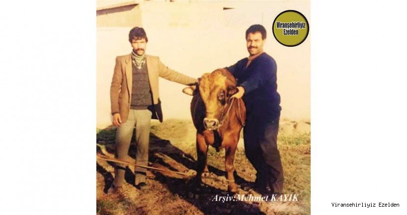 Viranşehir’de Kasap Kâlê olarak tanınan, Almanya’da yaşayan, Hışman Bartan ve Merhum İsa Açık(Kasap İsa)