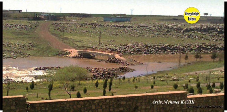 Viranşehir’de Meşhur Mesire(Piknik Alanı) Yerimiz Curcup