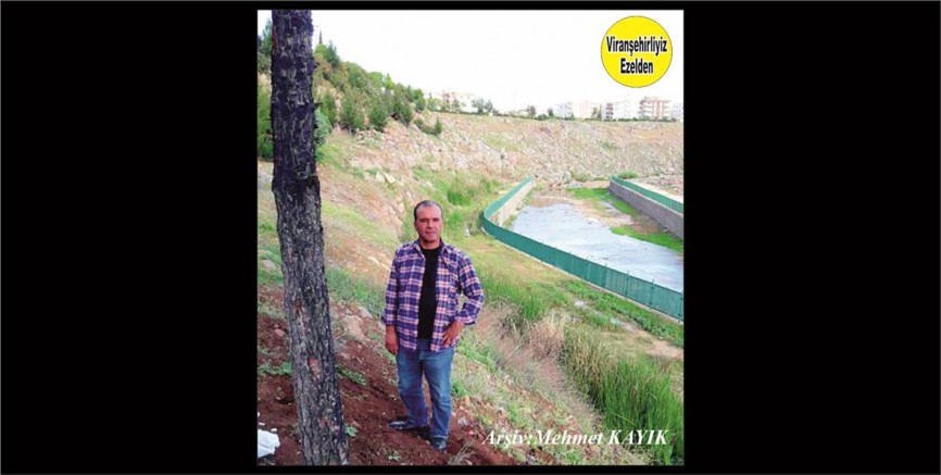 Viranşehir’de Muhasebe Sektöründe Hizmet Yapmış, Sevilen İnsan Suphi Kahraman