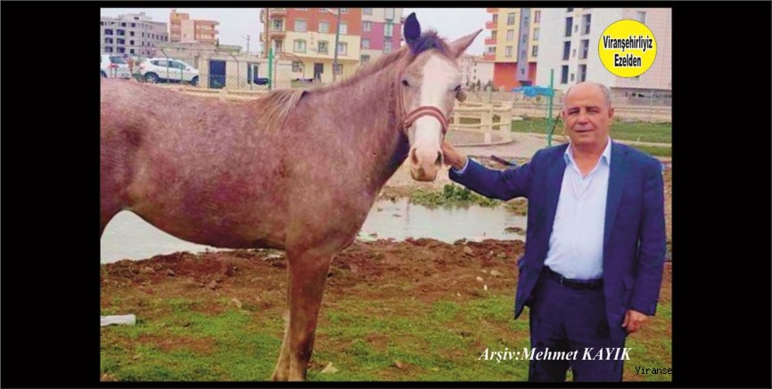 Viranşehir’de Osman Efendi Olarak Bilinen Cumhuriyet Dönemi Komutanlarından Merhum Osman Yüksel’in Torunu Ali Yüksel
