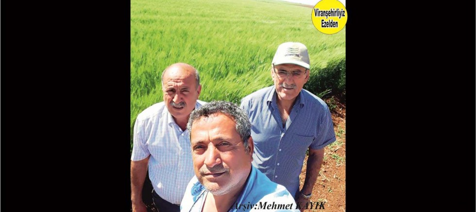 Viranşehir’de Otobüs Şoförlüğü Sektöründe Yıllarca Esnaflık Yapmış, Usta Şoför Fuat Gözen, Kardeşleri Emekli Öğretmen Nihat Gözen ve Mehmet Gözen