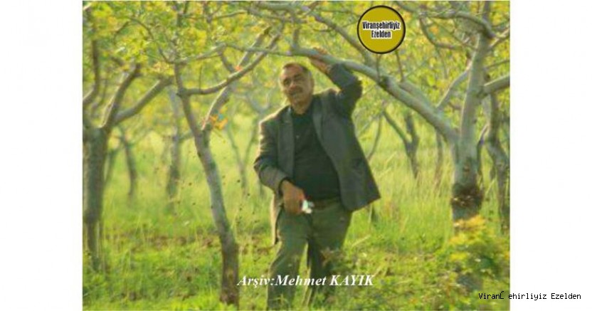 Viranşehir’de Sevilen Sayılan Değerlerimizden Olan, Mersin’de Yaşayan Sinan Demir