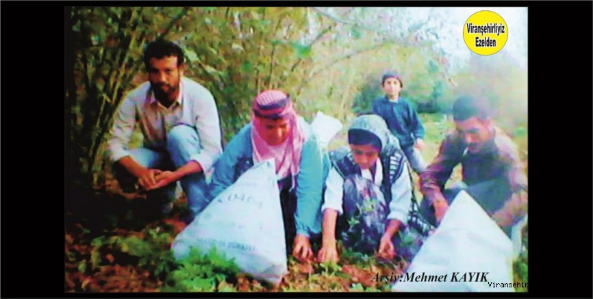 Viranşehir’de Yöresel Sanatçı olarak Yıllardan beridir Hizmet veren Sanatçı Eyyüp Doğan