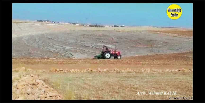 Viranşehir’deki Çiftçilerimizden Tarla Sürümü