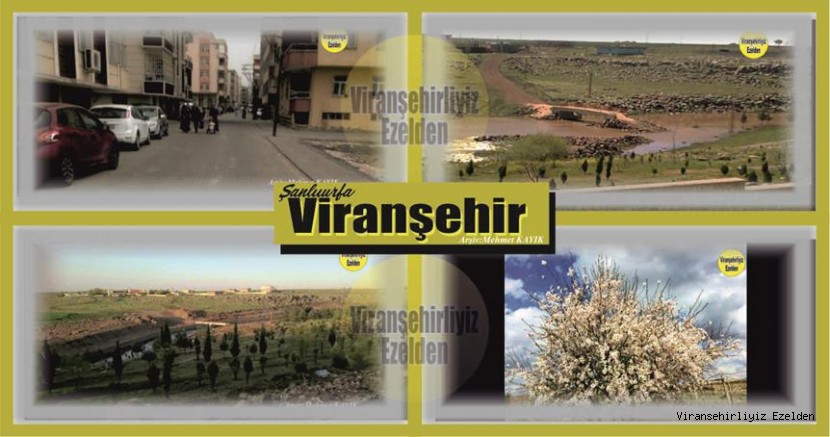 Viranşehir'den Manzaralar 