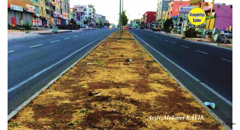 Viranşehir – Diyarbakır(Demirci Köyü Yolu) Yolu 