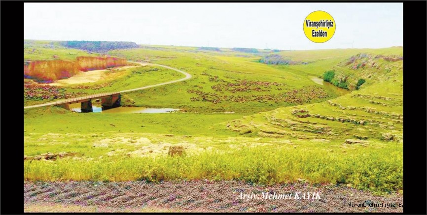 Viranşehir Ekinciler Köyü Deresi