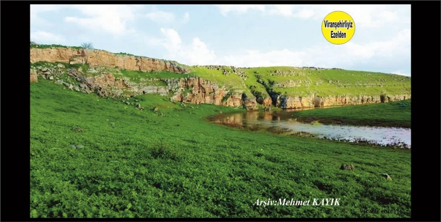 Viranşehir Ekinciler Köyünde Bulunan Ekinciler Deresi 
