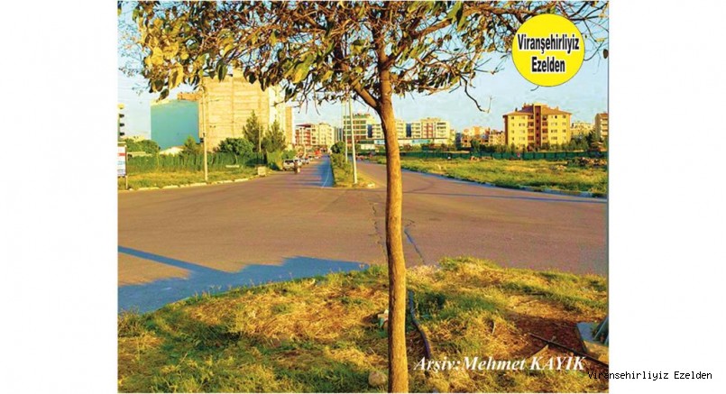 Viranşehir Eski Urfa Caddesinin Devamı Hal Cıvarı