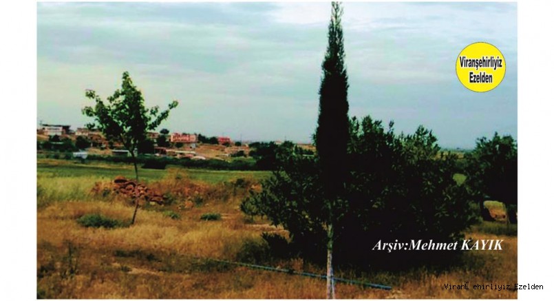 Viranşehir Gürpınar (Cevri) Köyü 