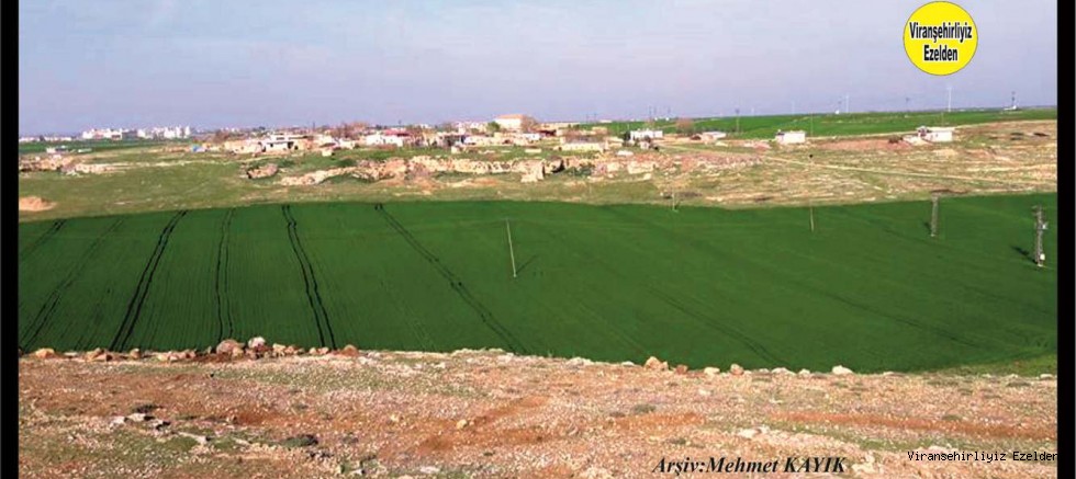 Viranşehir Hıfdemal Köyü 