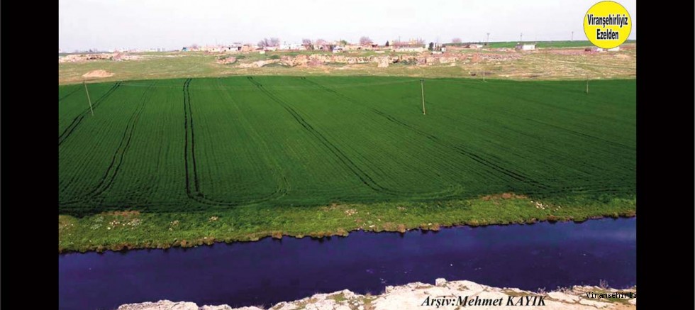Viranşehir Hıfedemal Köyü