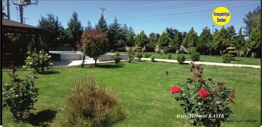 Viranşehir İlçe Milli Eğitim Müdürlüğü Bahçesi