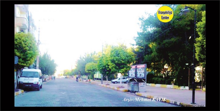 Viranşehir'in En İşlek Caddelerinden olan Ceylanpınar Caddesi