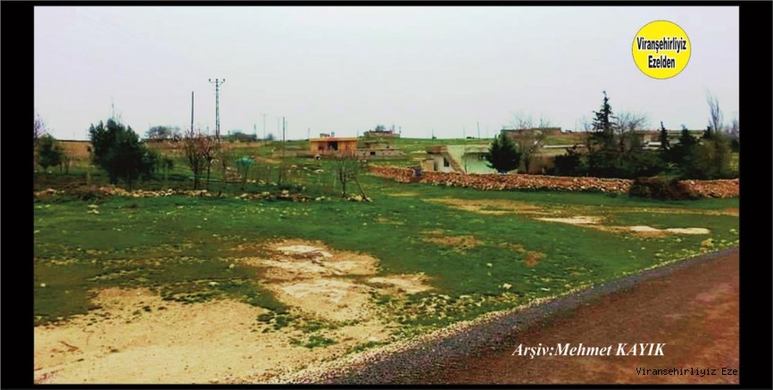Viranşehir’in Güzel Köylerinden olan Cınaz Köyü
