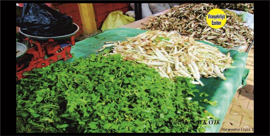 Viranşehir'in Meşhur Kengeri(Kereng)