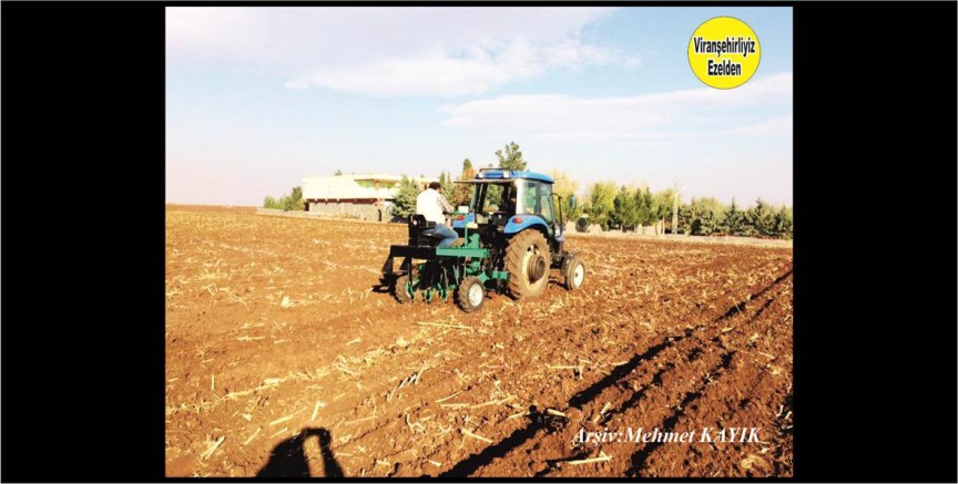 Viranşehir’in Sürülmüş Tarlası