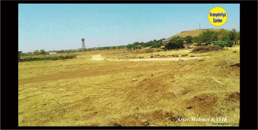 Viranşehir’in Tarihi Tılgoran (Yollarbaşı) Köyü