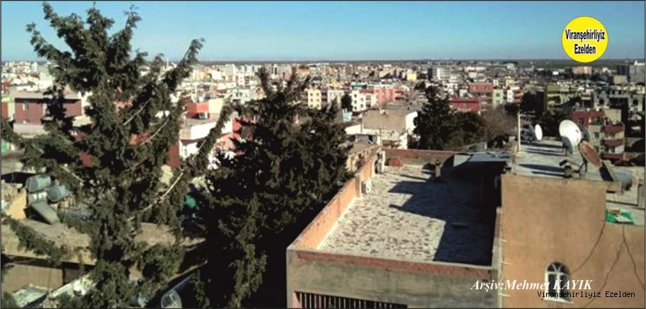 Viranşehir Kale Mahallesi Tepe Mevkiisinden Viranşehir'in Genel Görünüşü 