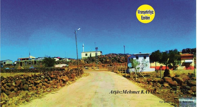 Viranşehir Karacadağ Bölgesi Karınca Köyü