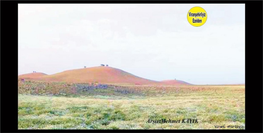 Viranşehir Karacadağ Bölgesinin Eteğinde Bulunan Yaylalara Ait Bir Fotoğraf  