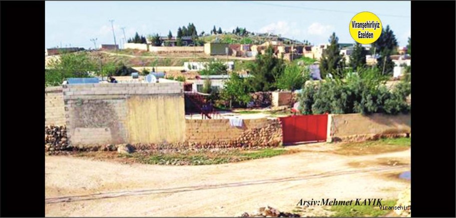 Viranşehir Kavurga(Gırê Sırt) Köyü 