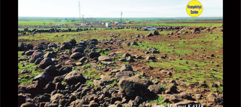 Viranşehir Kırsal Alanımız