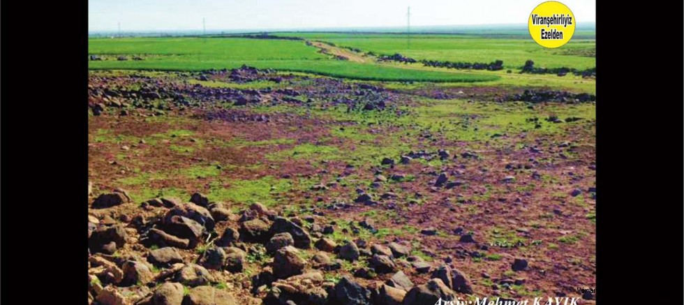 Viranşehir Kırsal Kesimi