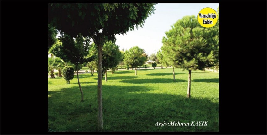 Viranşehir Kışla Mahallesi Hal Pazarı İçinde Bulunan Hal Parkı