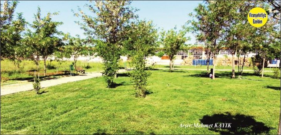 Viranşehir Kışla Mahallesinde Bulunan Hal Pazarı İçindeki Park 