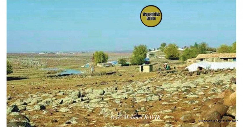 Viranşehir Korye Köyü