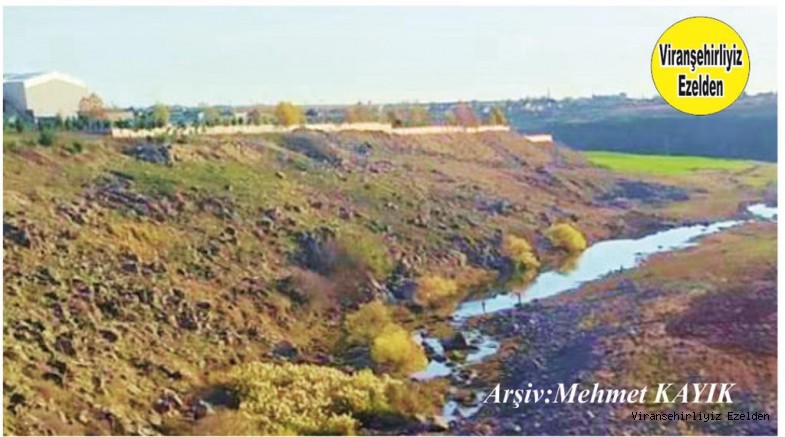 Viranşehir Mahallesi Curcup Bölgesi