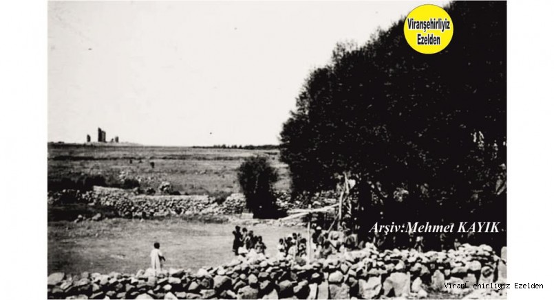 Viranşehir Paşa Konağının Paşalar Bahçesi