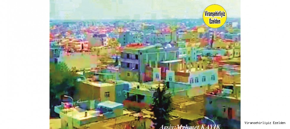 Viranşehir Selahattin Eyyubi Mahallesi 