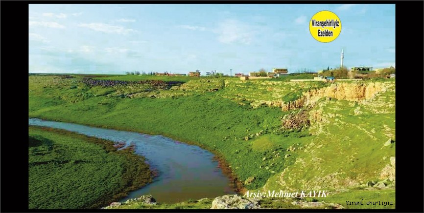 Viranşehir Sesik Bölgesi Ekinciler Deresi 