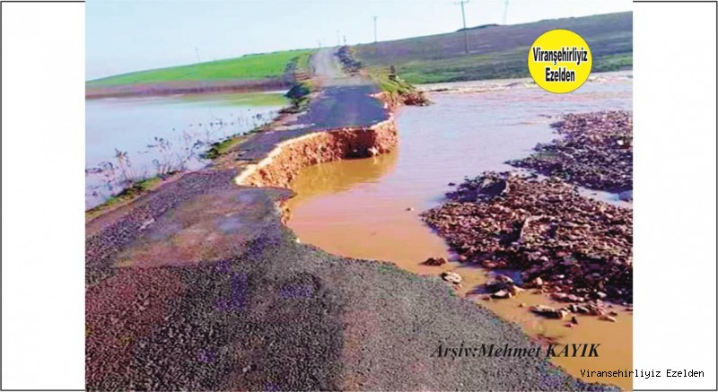 Viranşehir Talihli, Yazgüneşi, Matla ve Gürpınar Köylerinde Halkları ve Öğrencileri  Perişan